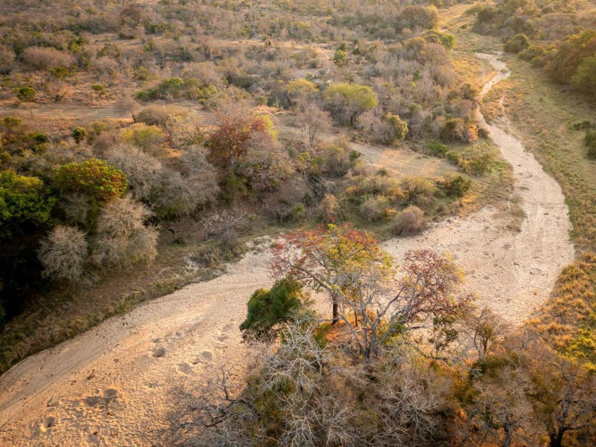 Shimungwe Lodge, Thornybush Game Reserve Hoedspruit Buitenkant foto
