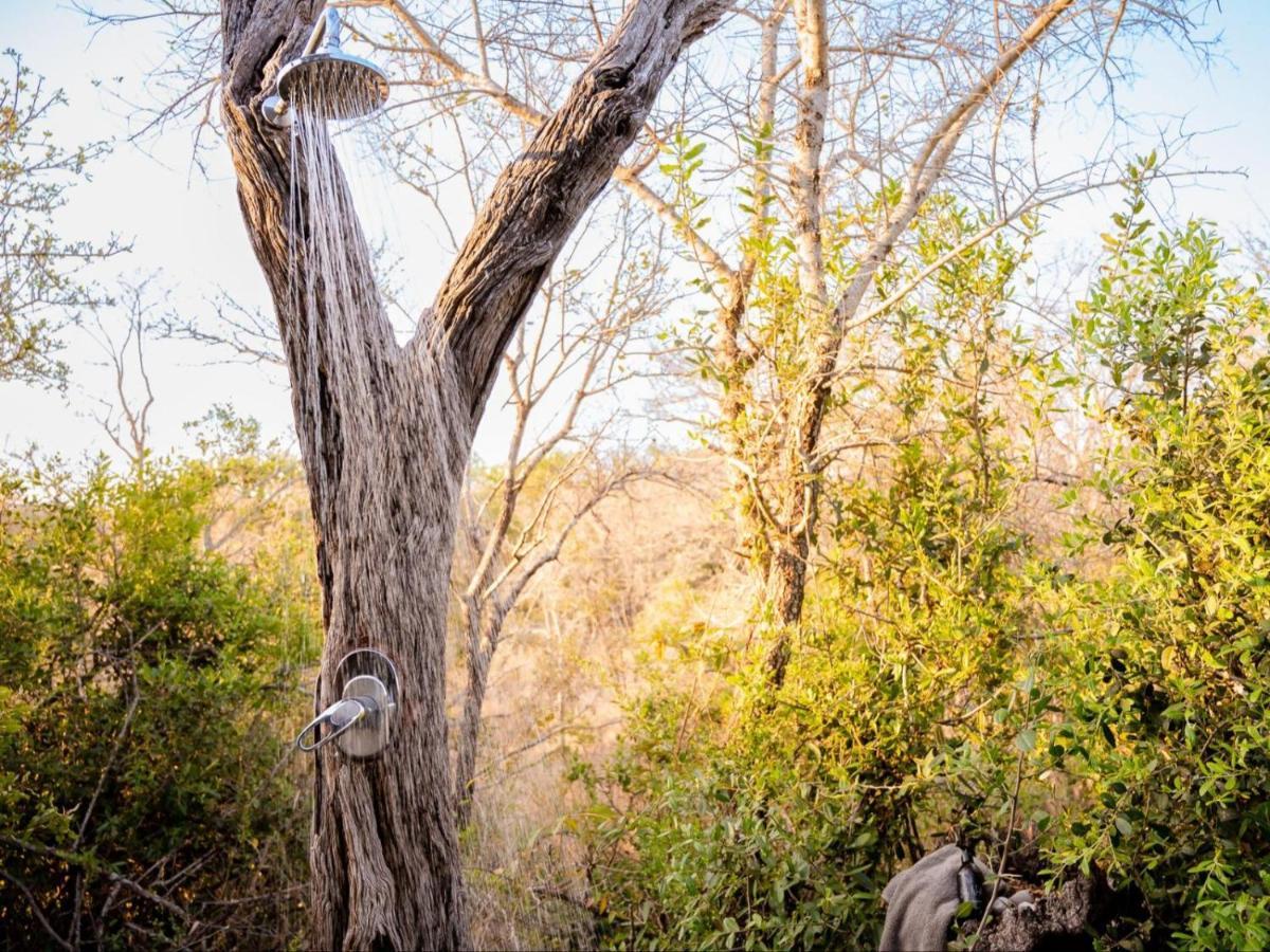 Shimungwe Lodge, Thornybush Game Reserve Hoedspruit Buitenkant foto